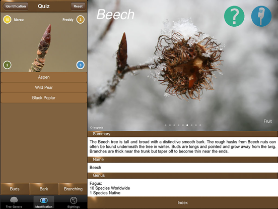 Winter Tree Id - British Isles iPad screenshot 4 - Reference app
