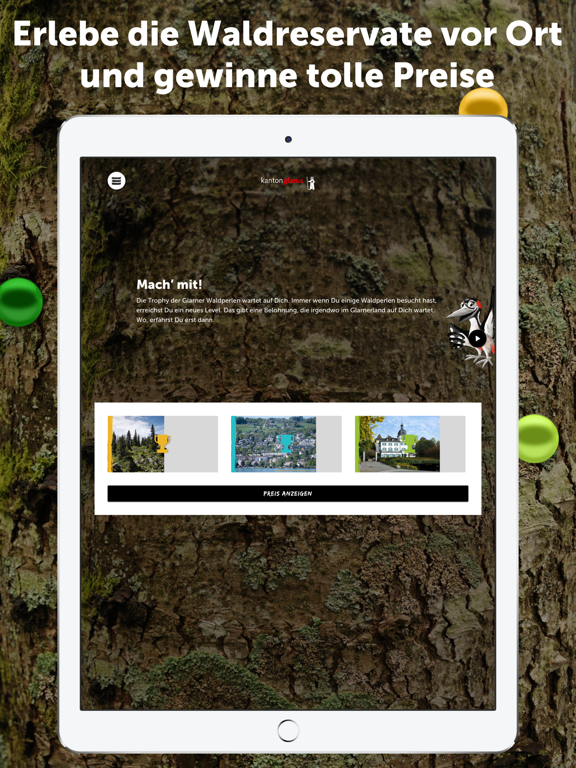 Screenshot #6 pour Glarner Waldperlen