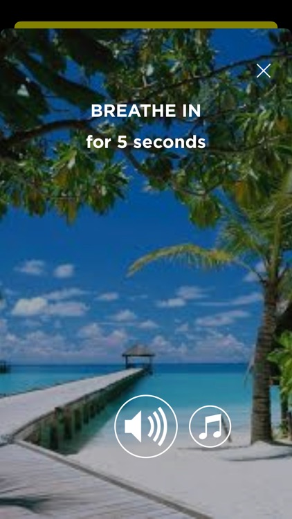 Exercises to the sounds of nat