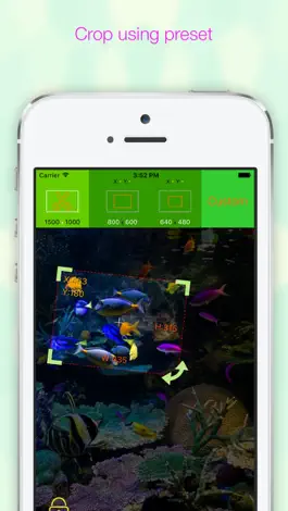Game screenshot EverClipper Plus apk