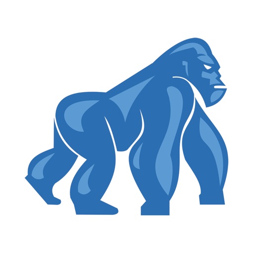 Blue Zoumba