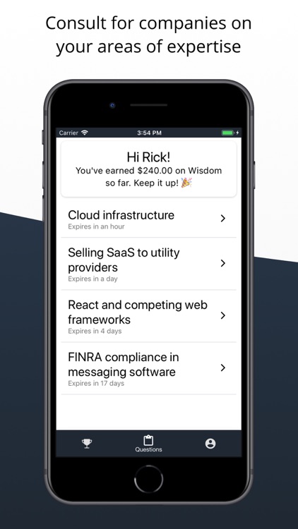 Wisdom - Expert Consulting