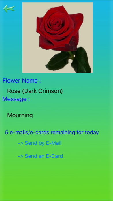 Flowers Language screenshot 3