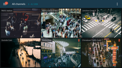 Luxriot EVO Mobile Screenshot
