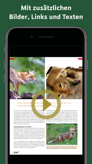 Schweizer Jäger screenshot 2
