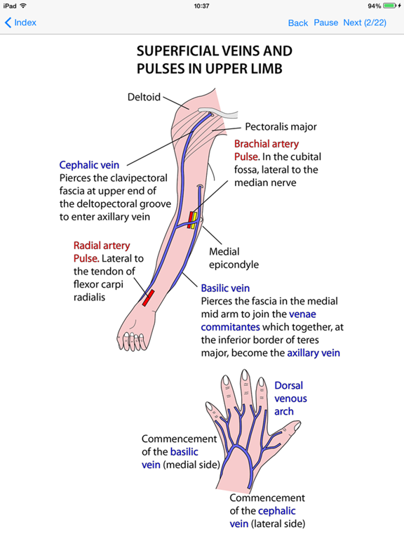 Screenshot #4 pour Anatomy Lectures Limbs