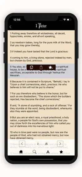 Game screenshot Daily Bible reading in HNV hack