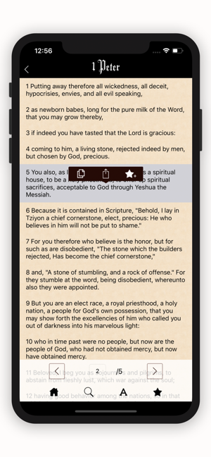 Hebrew Names Version Bible(圖3)-速報App