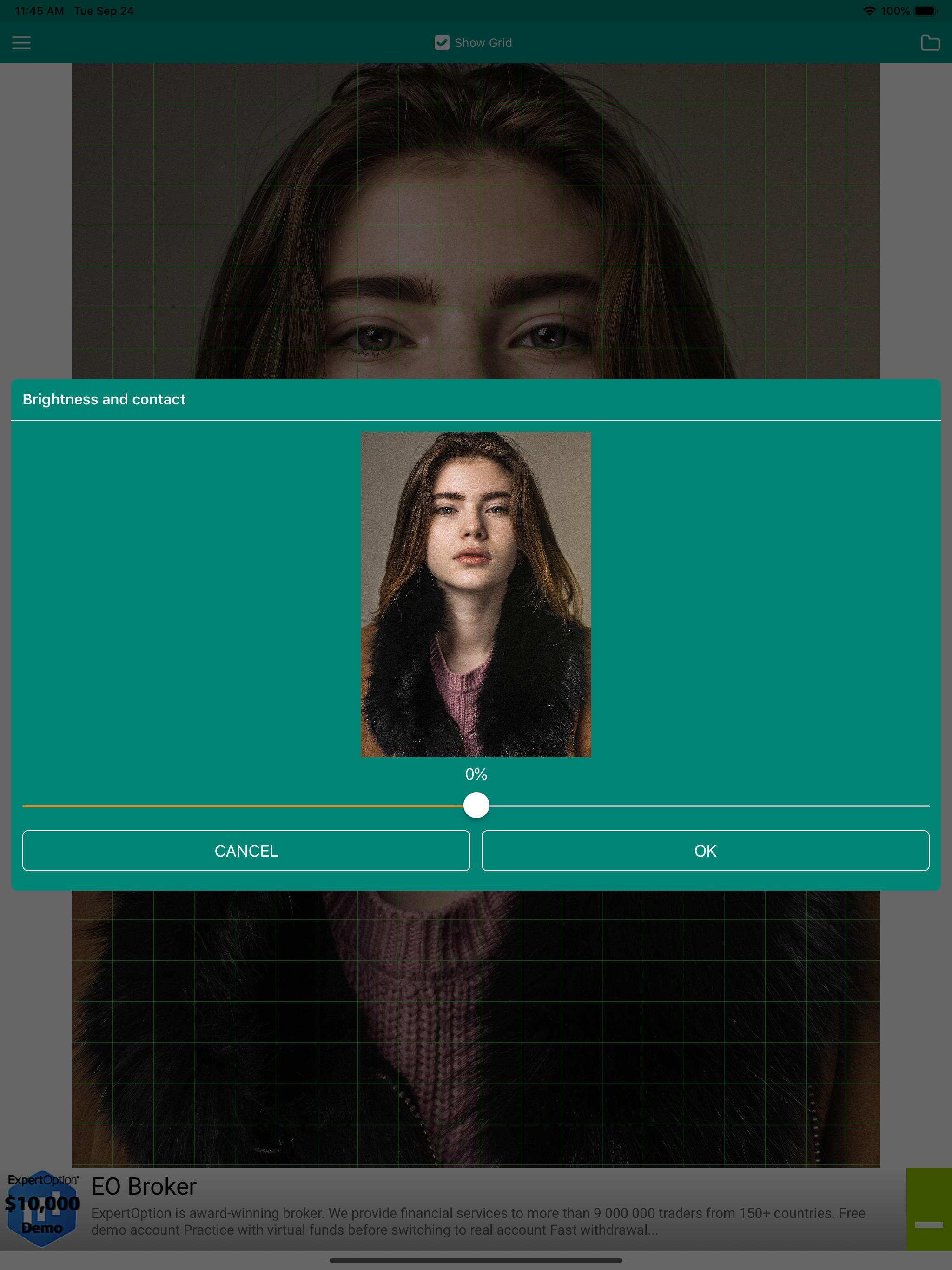 Drawing Grid For The Artist