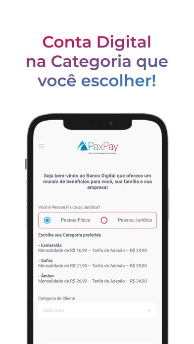PaxPay Screenshot