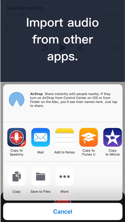 Voice Dictation - Speechy Lite screenshot-3