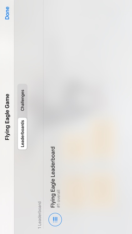 Flying Eagle Game screenshot-4