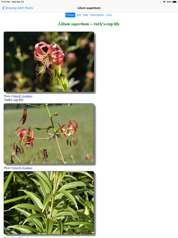 Screenshot #6 pour New England Wildflowers