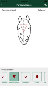 Captura de tela