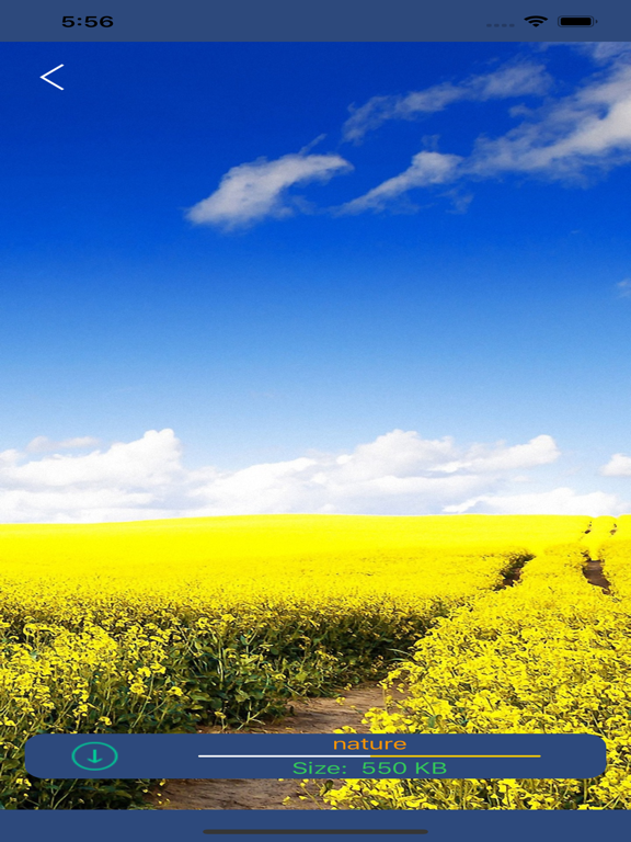 Wallpapers 4K & HD iPad screenshot 3 - Photo & Video app