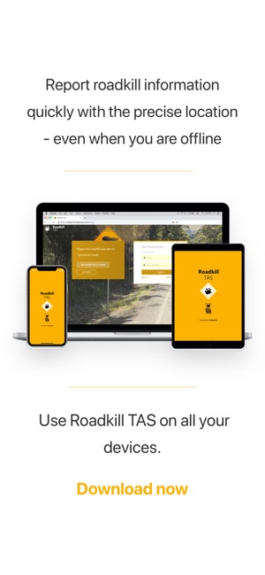 Roadkill TAS(圖4)-速報App