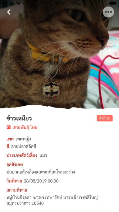 Catster Screenshot