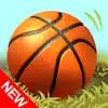 Basketbon