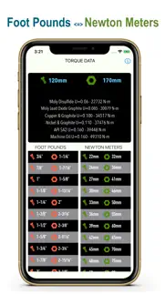 torque data iphone screenshot 2