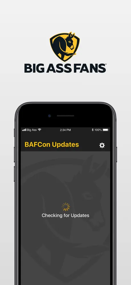 BAFCon Updates