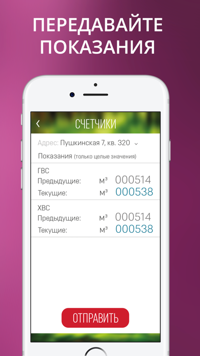 Кедр screenshot 3