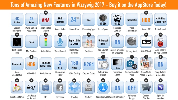Vizzywig
