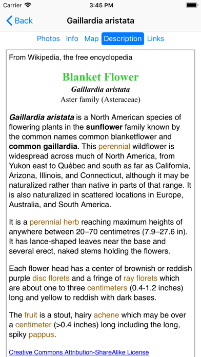 South Dakota Wildflower Screenshot