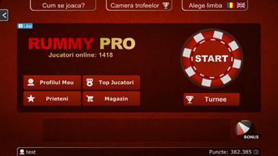 Rummy PRO - Remi Pe Tabla Screenshot