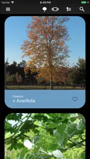 deciduous trees 2.0 iphone screenshot 1