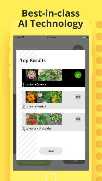 Plant Identification screenshot 4