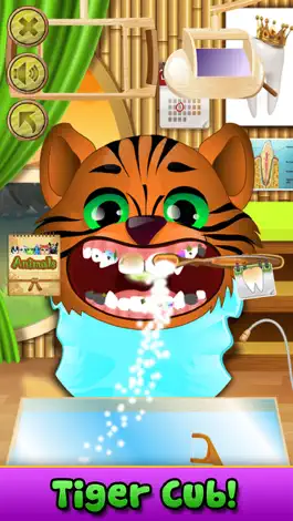 Game screenshot Animal Dentist Simulator mod apk