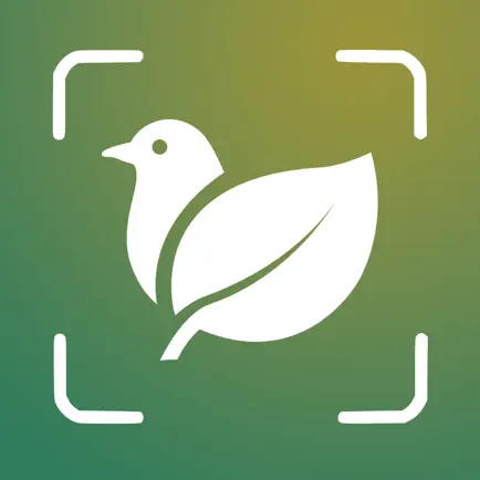 Animal & Plant Identifier Читы
