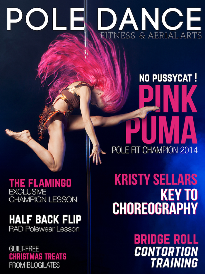 Pole Dance Fitness Aerial Arts