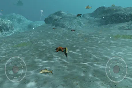 Real Fish Simulator