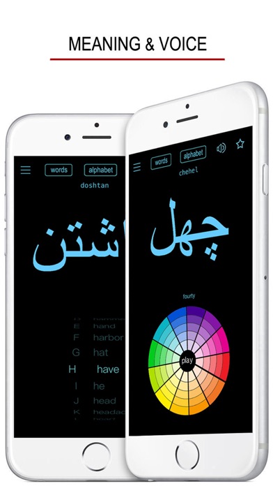 Persian Words & Writing Screenshot