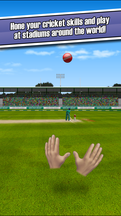 New Star Cricket Screenshot