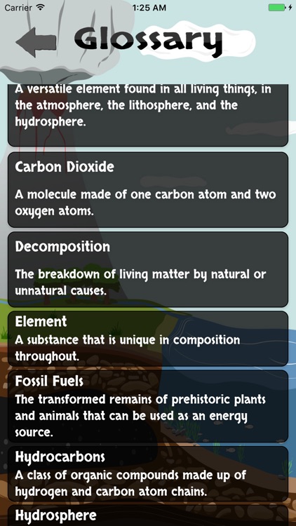 The Carbon Cycle Game Lite