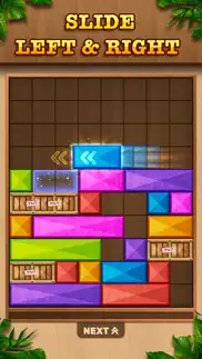 wooden blast - block puzzle iphone screenshot 1