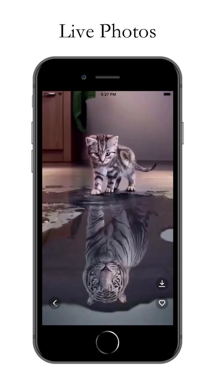 Wallpapers - Live and HD photo