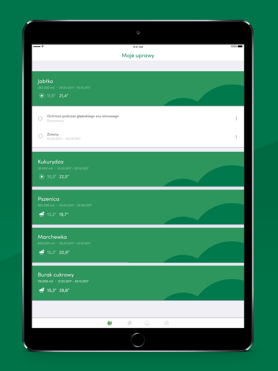 iPad screenshot