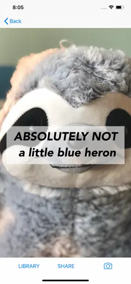 Game screenshot Probably Not apk