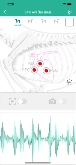 Game screenshot PetStemo: Monitor pet health apk