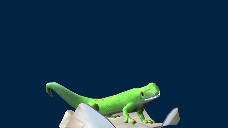 Bostik AR screenshot-4