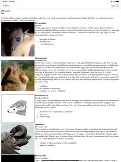 Stuarts European Mammals iPad image 4