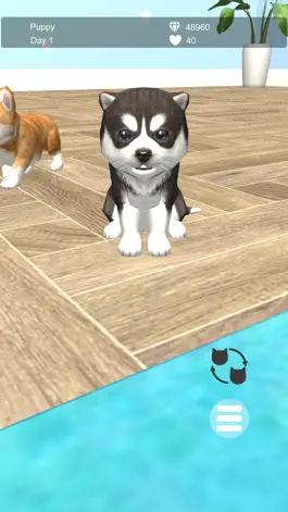 Game screenshot My Puppies mod apk