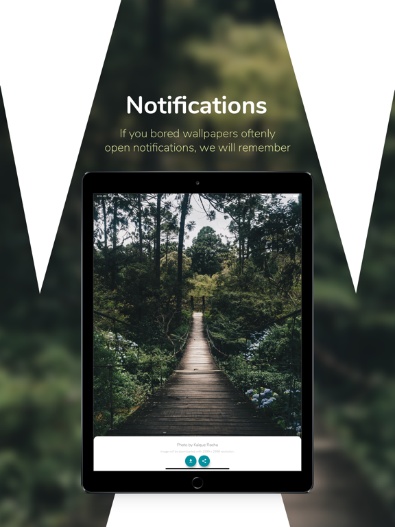 WellpaperHD iPad screenshot 1 - Photo & Video app
