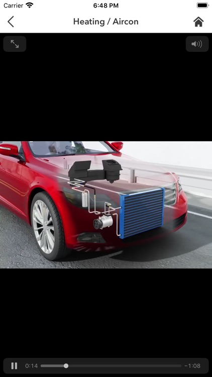 BM Workshop Botany screenshot-4