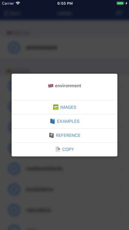 20 English Dictionaries screenshot-3