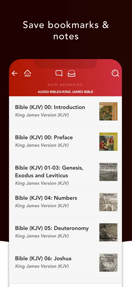 Audio Bibles