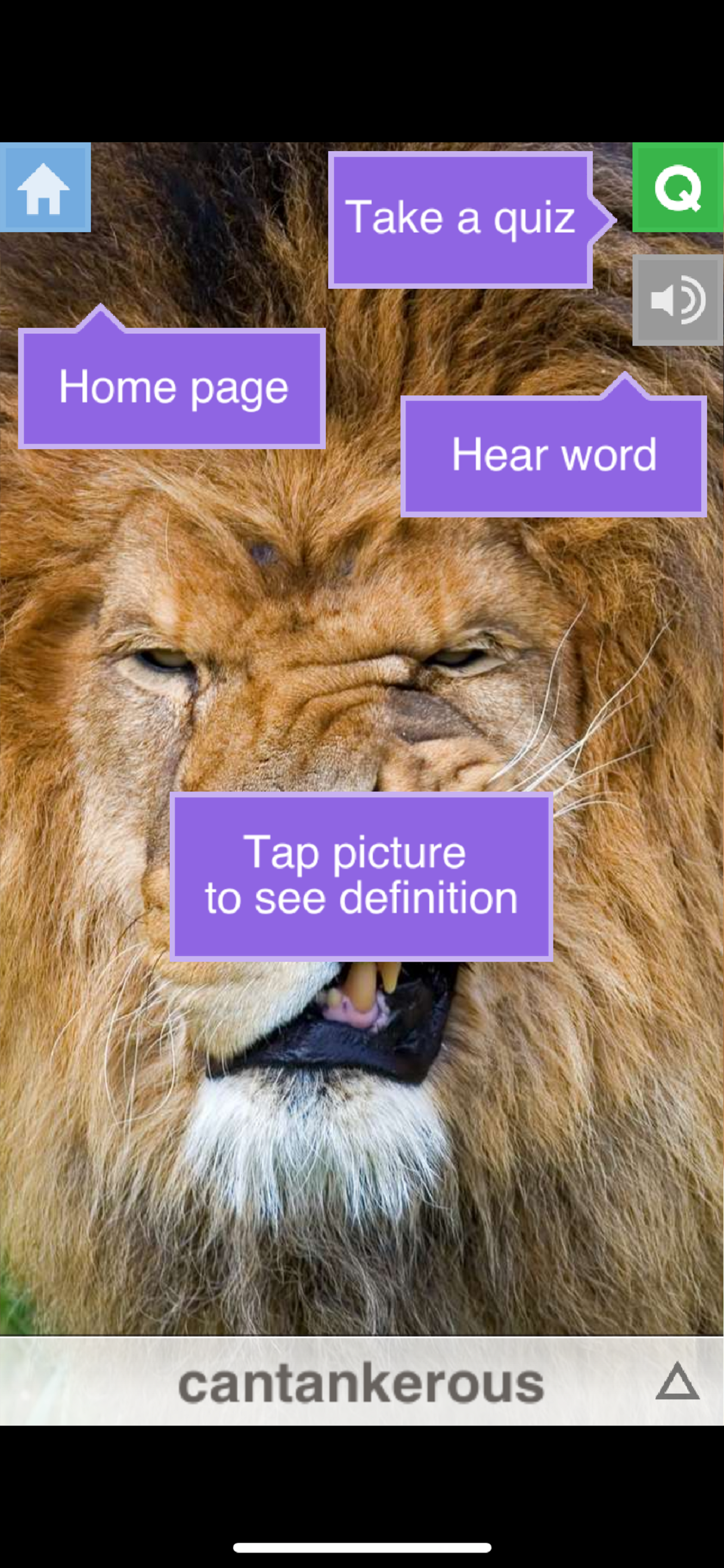 Visual Vocab SAT - Core screenshot 5